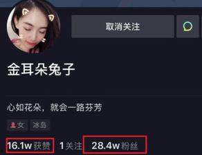 娱乐圈圈内人爆料,揭秘明星背后的惊人真相! 第2张 娱乐圈圈内人爆料,揭秘明星背后的惊人真相! 第2张